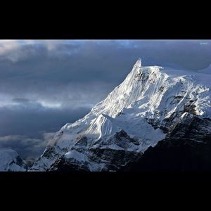 Meet your Posher, Liam